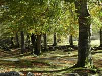 Vadillos en la Rioja
